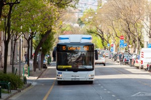 MAN gázbusz (fotó: Nyitrai Dávid)