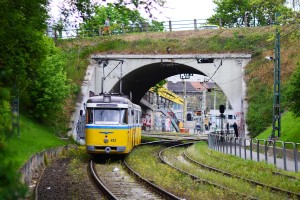 Bengáli csuklós