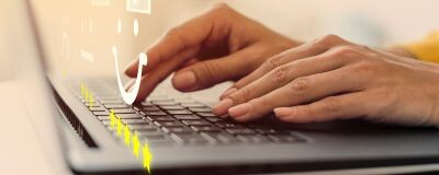 Online customer feedback interface