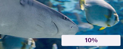 Tropicarium ‒ the shark zoo
