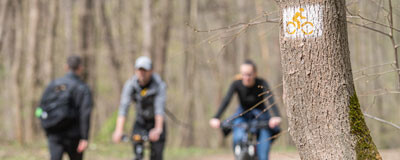 Kerékpáros túrák