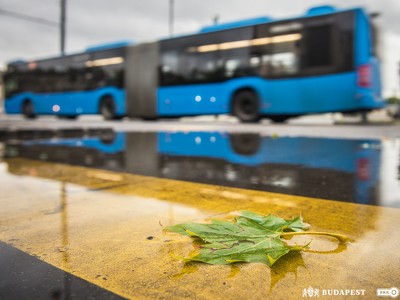 18. Társadalmi egyeztetést indított