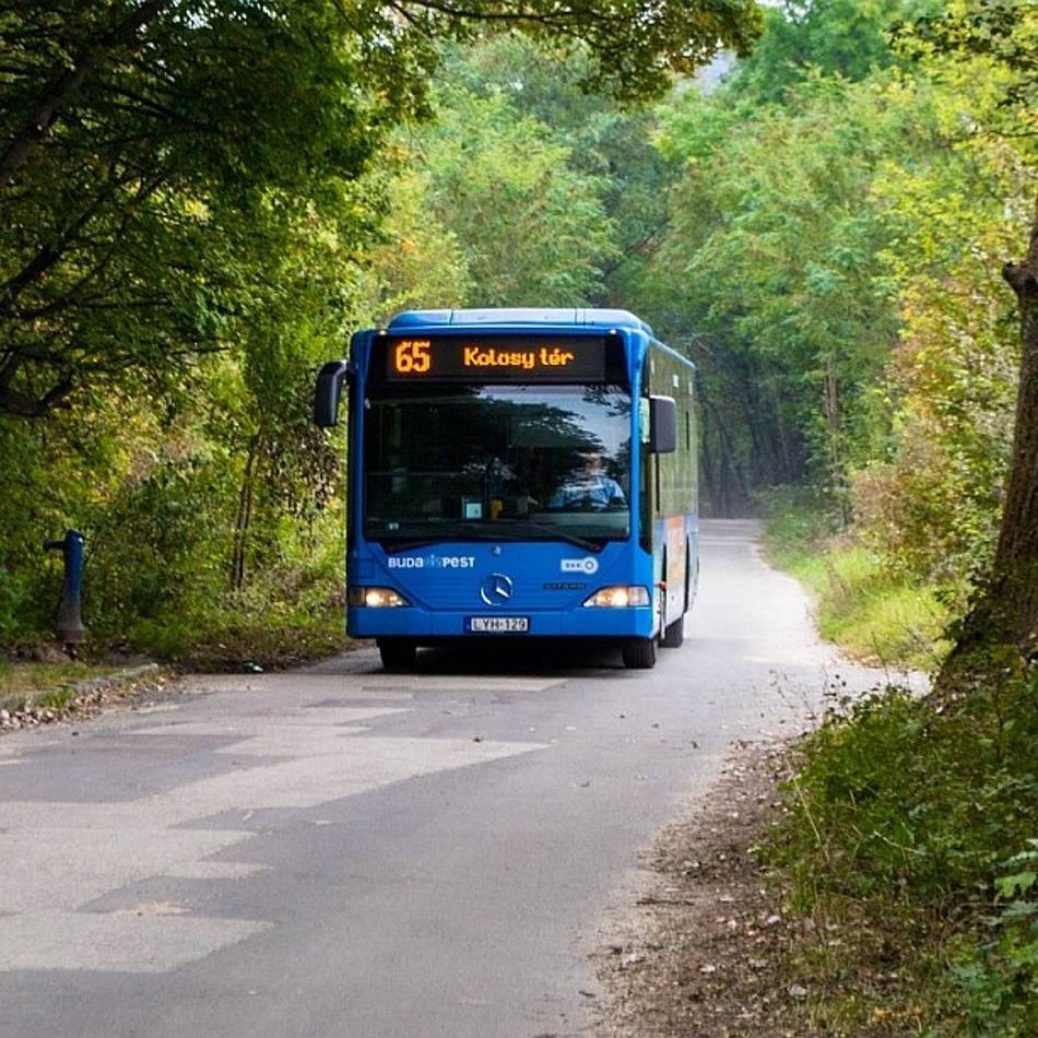 A 65-ös busz halad az úton