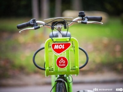 molbubi 2020 november