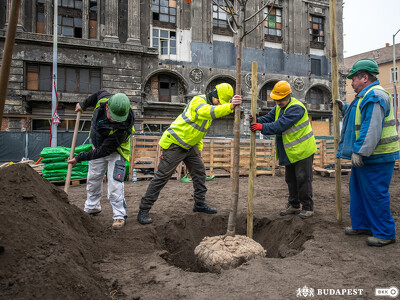 Blaha Lujza tér_faültetés