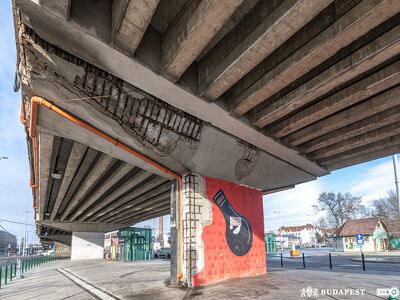 Nepligeti_feluljaro_1