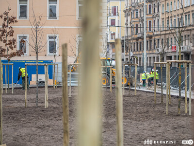 Blaha Lujza tér_faültetés
