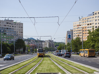 Megtartotta alakuló ülését a Balázs Mór Bizottság