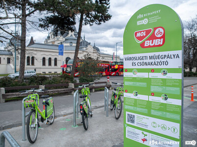 BKK_Fotó_ Városligeti Bubi 1