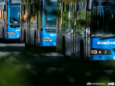 BKK_busz_illusztráció