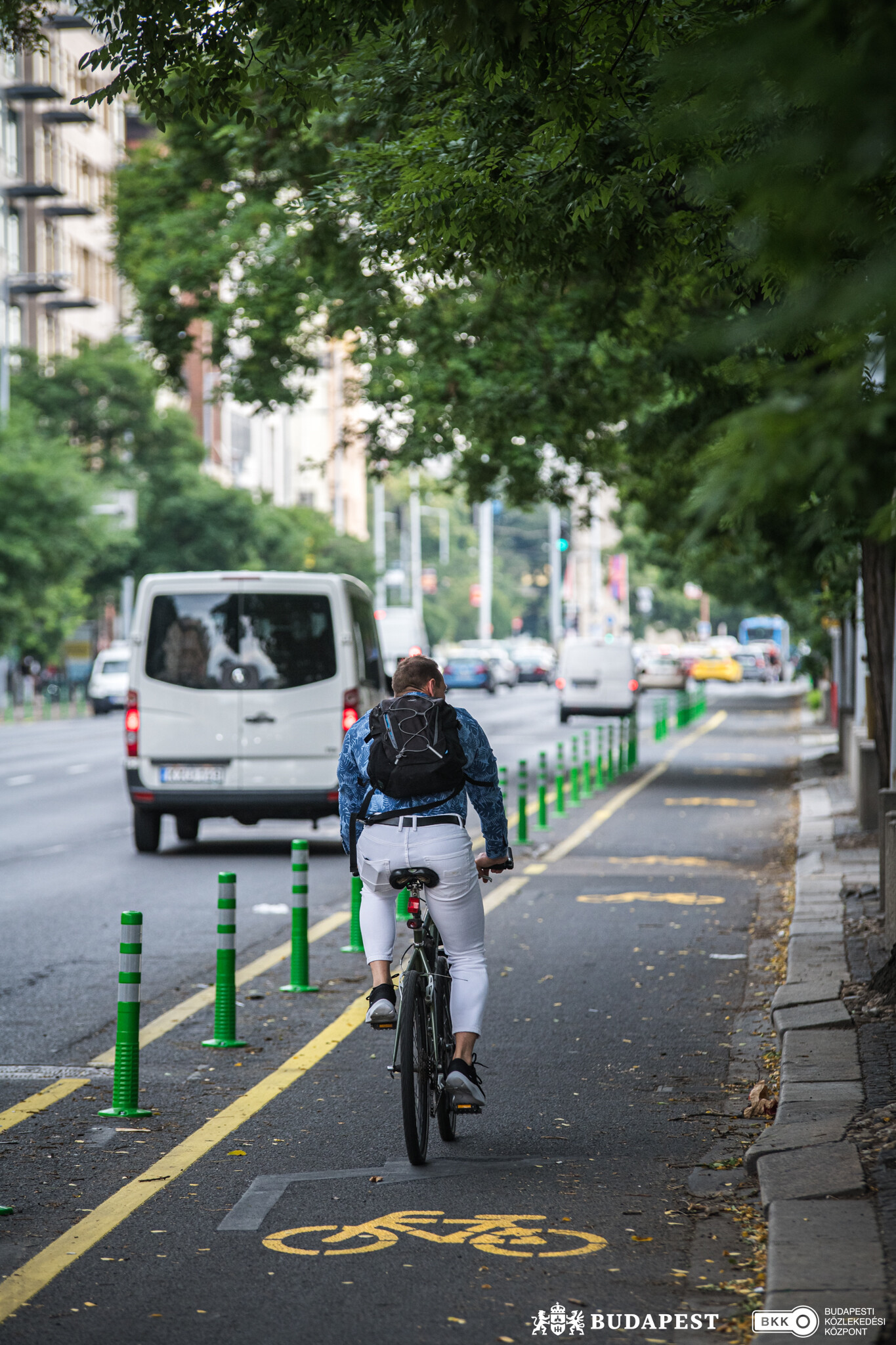 bicikliző a Váci úti védett bringasávban