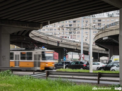 Florian teri feluljaro1