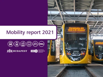 Mobility report - 2021
