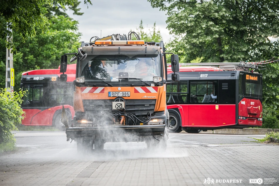 Köztisztasági kezdeményezés a Népligetnél.