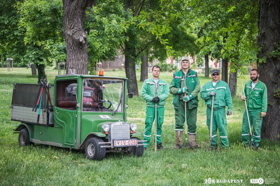 Köztisztasági kezdeményezés a Népligetnél.
