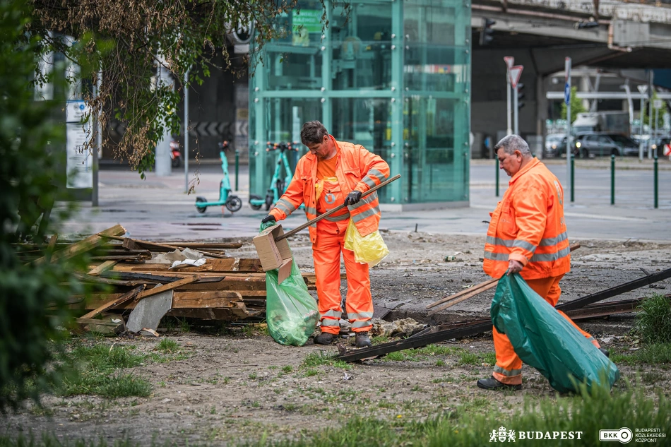 Köztisztasági kezdeményezés a Népligetnél.