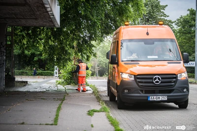 Ennek a képnek nincs leírása.