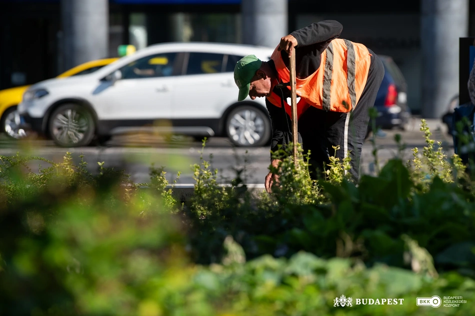 Köztisztasági és közrendvédelmi akció a Blaha Lujza téren.
