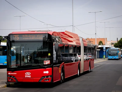 KSZ_331558_TZ_20240801_0328