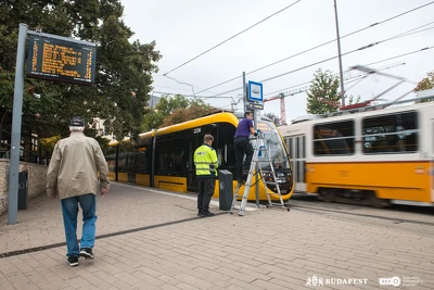 Ennek a képnek nincs leírása.