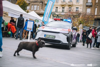 Ennek a képnek nincs leírása.