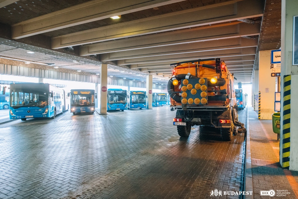 Köztisztasági akció a KÖKI-nél.