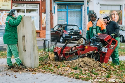 Ennek a képnek nincs leírása.