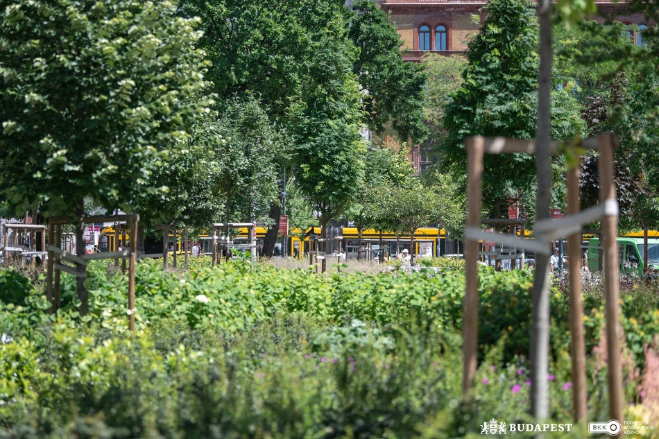 Nagykörúti villamos zöldellő fák között
