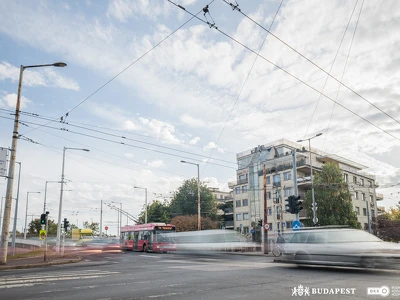 Állatkerti delta (1)