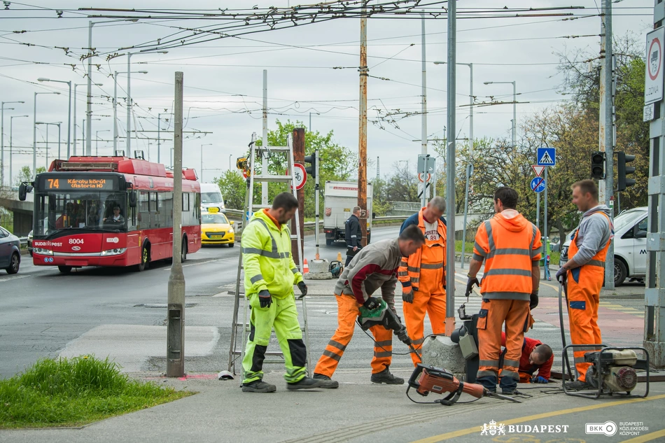 Állatkerti delta, munkavégzés