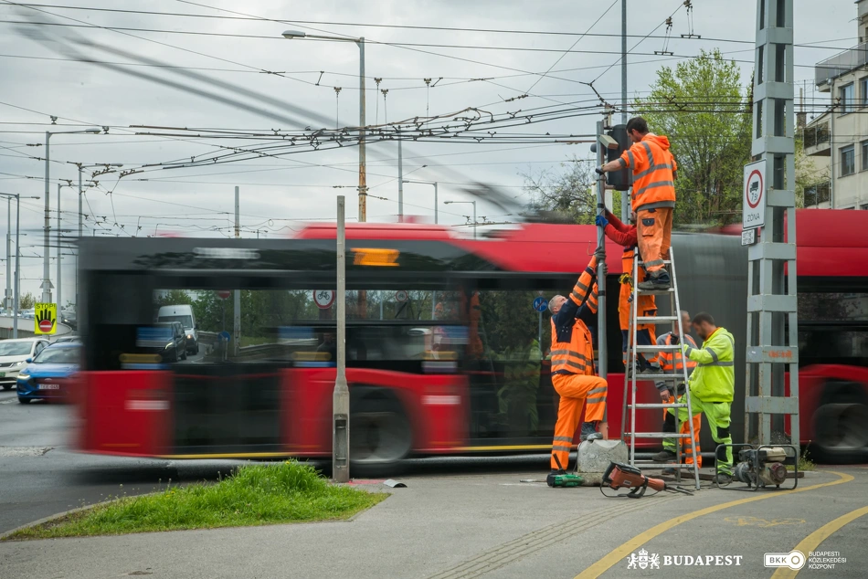 Állatkerti delta, munkavégzés