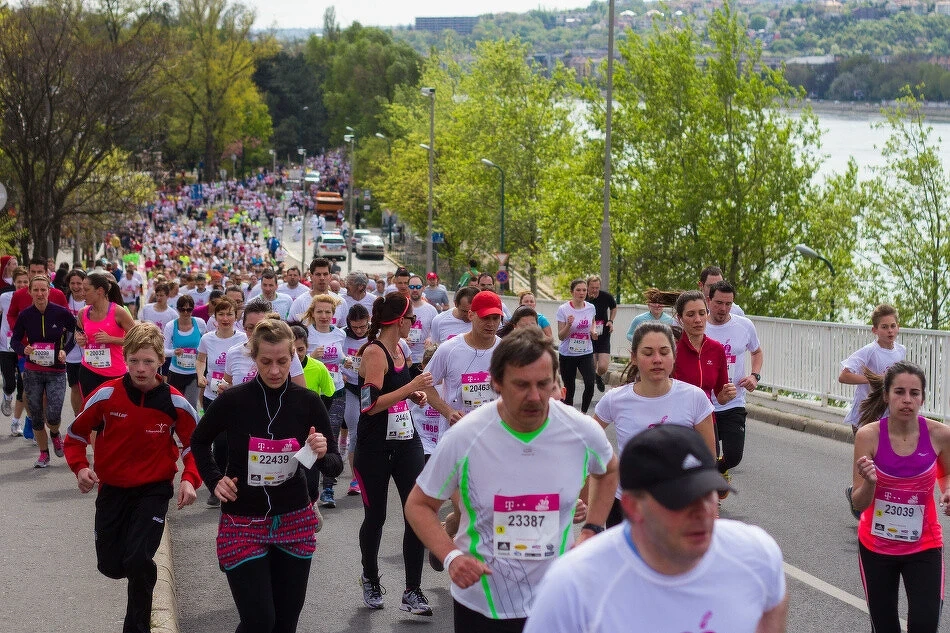 Vivicitta futóverseny