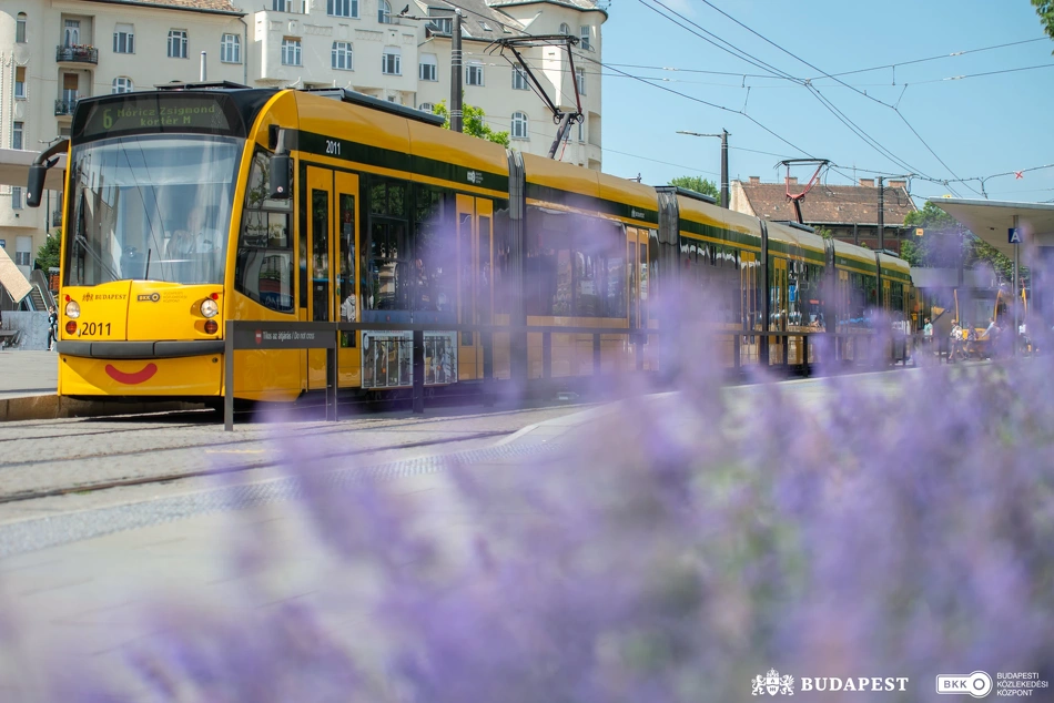 Májusi illusztráció.