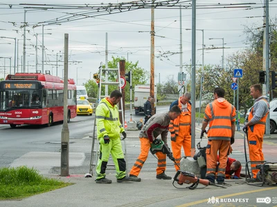 Állatkerti delta_munkakezdés (2)