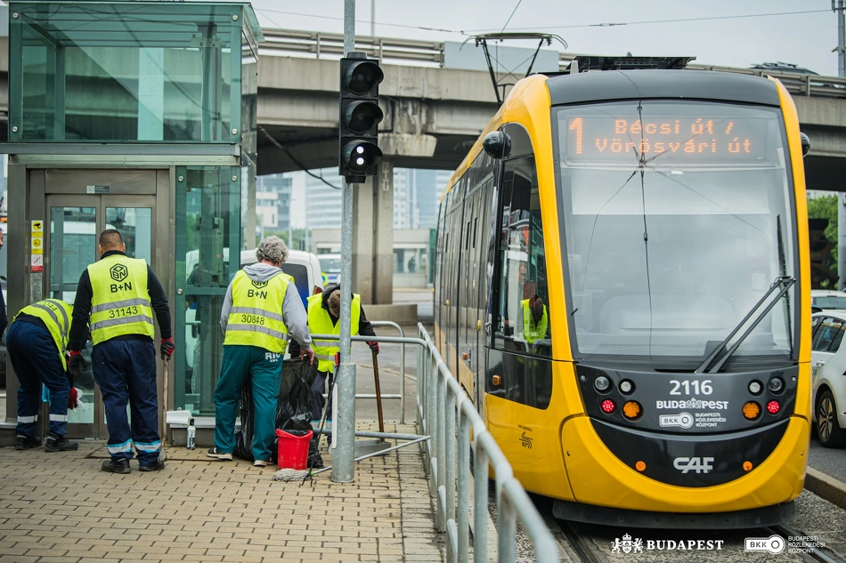 Köztisztasági és közrendvédelmi akció.