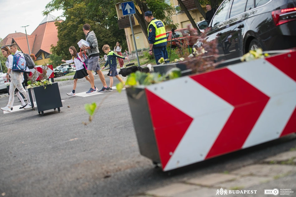 Gyermekek és szüleik közlekednek a zebrán a IV. kerületben, a Hajló utcában található iskolánál