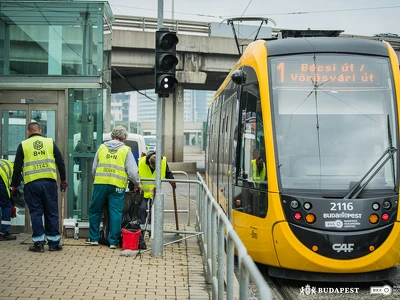 Köztisztasági és közrendvédelmi akció (7)
