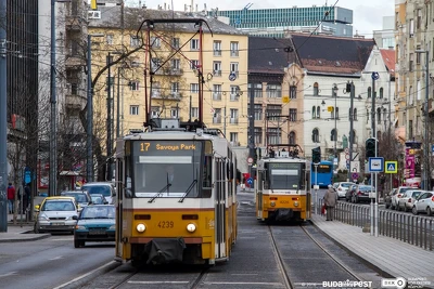 Ennek a képnek nincs leírása.