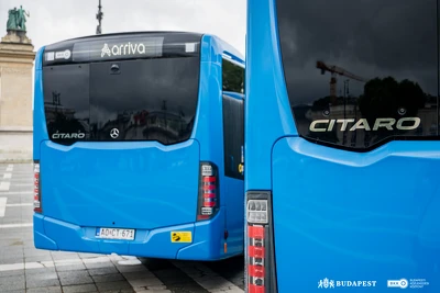 Ennek a képnek nincs leírása.