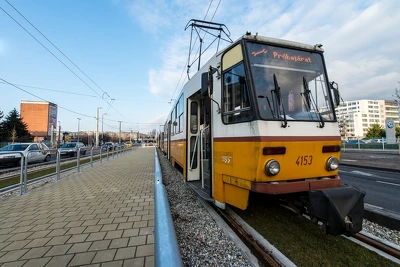 Ennek a képnek nincs leírása.