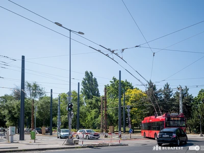 Állatkerti delta (5)