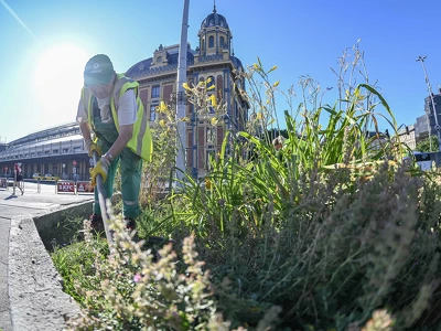 Köztisztasági akció, Nyugati pu (4)