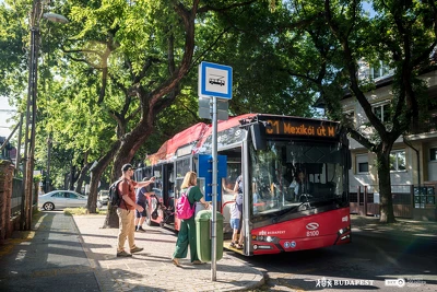 Ennek a képnek nincs leírása.
