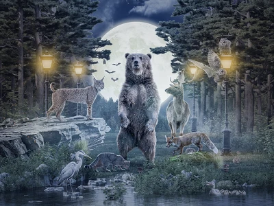 AE_2025_sajto_felirat_nelkul