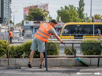 Köztisztasági kezdeményezés_Határ út (3)
