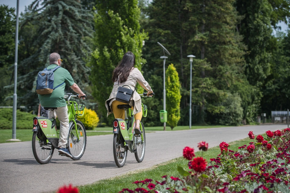 Egyetemisták MOL Bubival