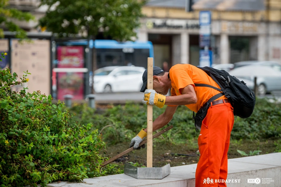 Köztisztasági akció a Blaha Lujza téren.