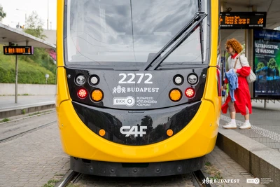 Ennek a képnek nincs leírása.