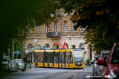 Ennek a képnek nincs leírása.