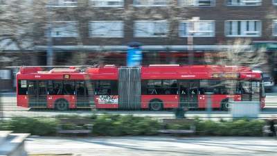 Elindult a közbeszerzés: új trolivezetékek épülhetnek Józsefvárosban és Kőbányán – trolik válthatják a dízelbuszokat a 9-es vonalon